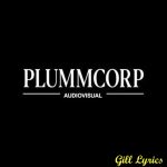 PLUMMCORP RECORDS